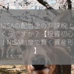 新NISAの配当金の非課税上限はいくらですか？【投資初心者必見！NISA制度で賢く資産形成】